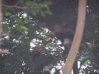 100_5273.jpg